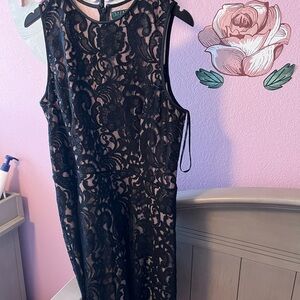 Elegant Black Lace Dress